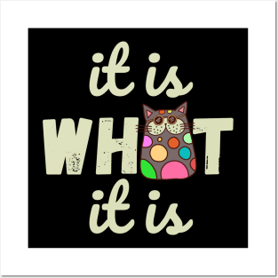 It is What It is Doodle Cat Posters and Art